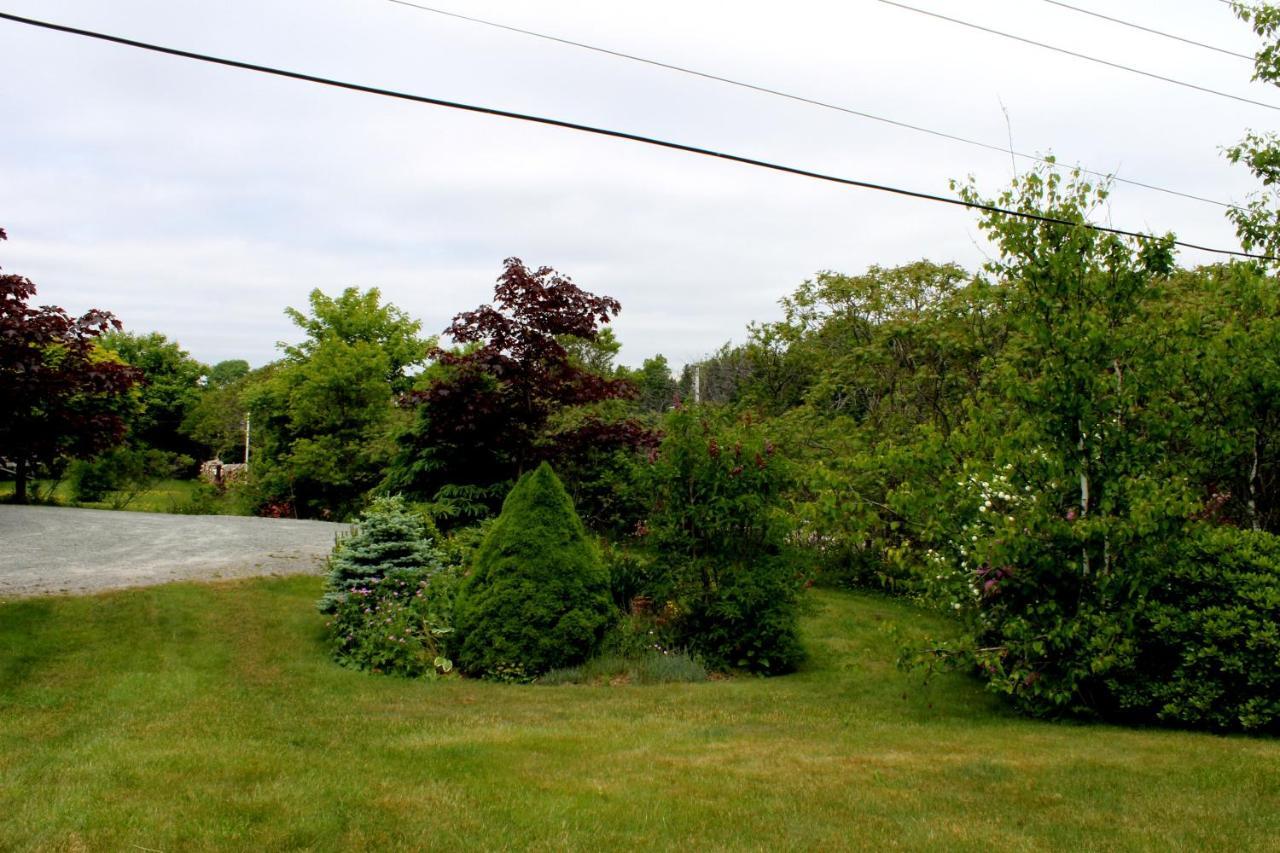 Mackenzie House B&B By Elevate Rooms Port Hawkesbury Eksteriør billede